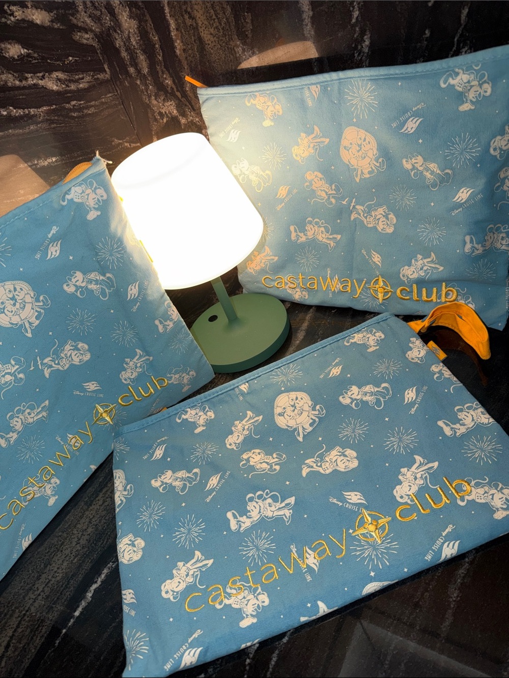 Disney Cruise Line Castaway Club Exclusive Drybag